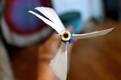 1534826_10152346646002133_3547363024918236804_o