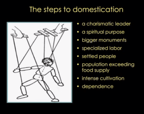 12004767_1564377850451281_2067833207002596506_n